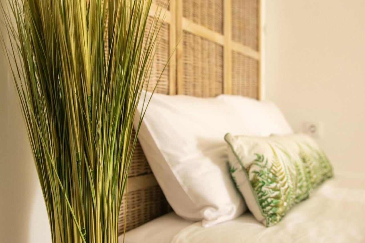 Bambu